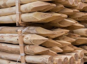 debarked and pointed robinia-acacia poles for fences