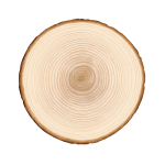 Durable ash timber logs for construction and furniture