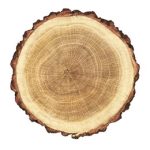 Oak logs – premium hardwood timber for export
