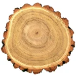 Robinia timber logs – acacia / Black locust wood for export