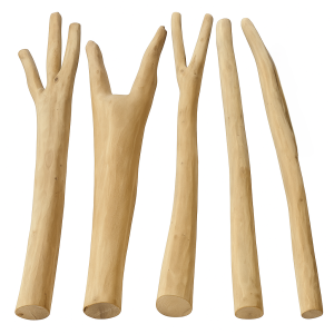 Robinia Acacia sanded, sapwood-free poles, Y poles and climbing trees